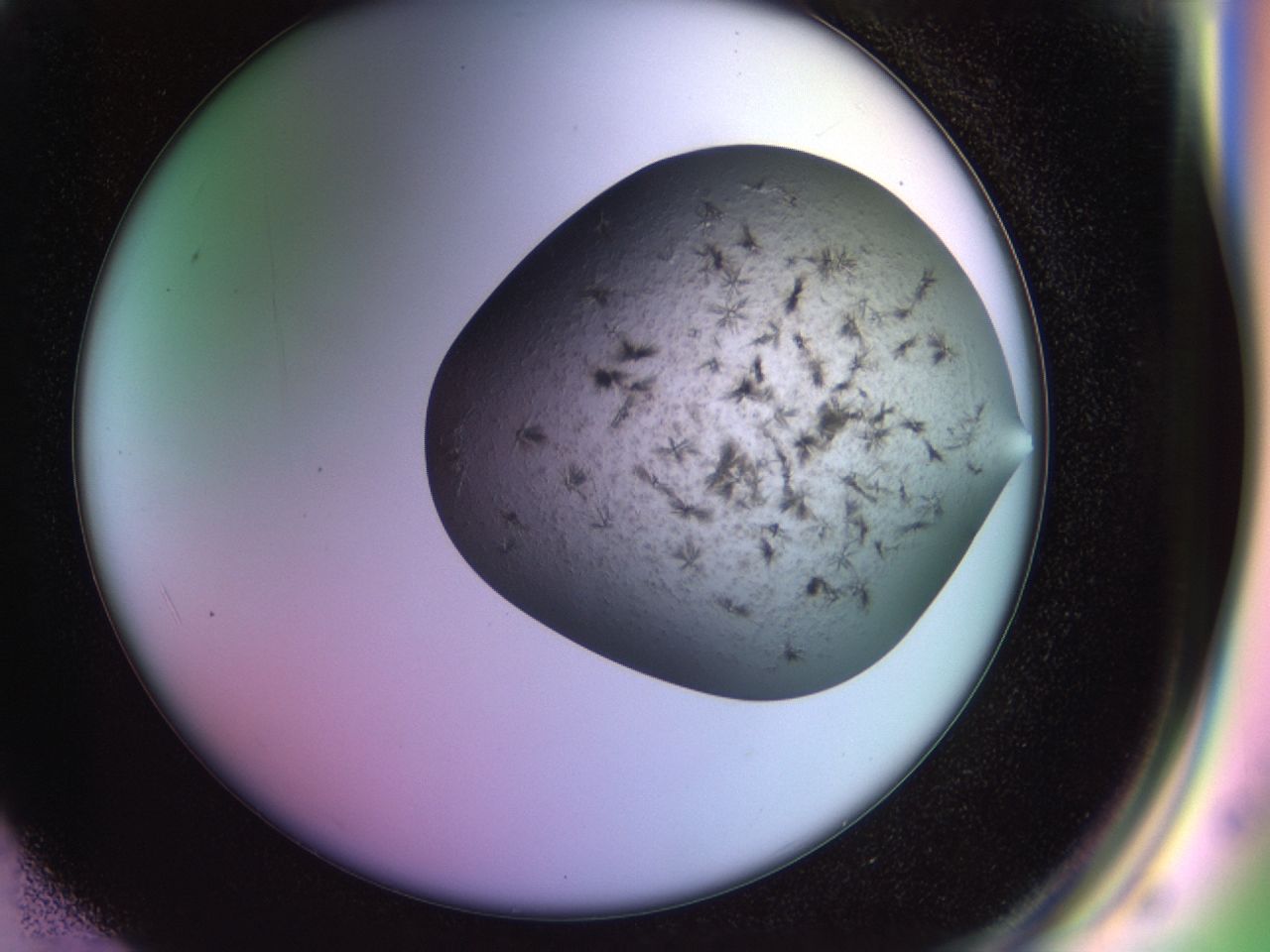 02ne_F2_ImagerDefaults_6.jpg