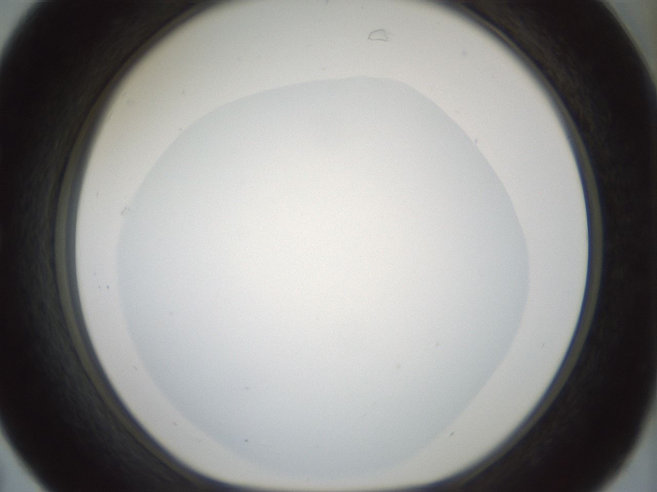 folderID427_plateID1427_batchID5434_wellNum31_profileID1_d1_r88597_ef.jpg