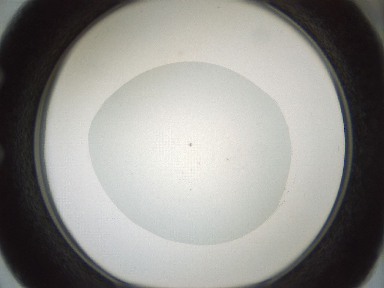 folderID427_plateID1427_batchID5434_wellNum50_profileID1_d1_r88635_ef.jpg