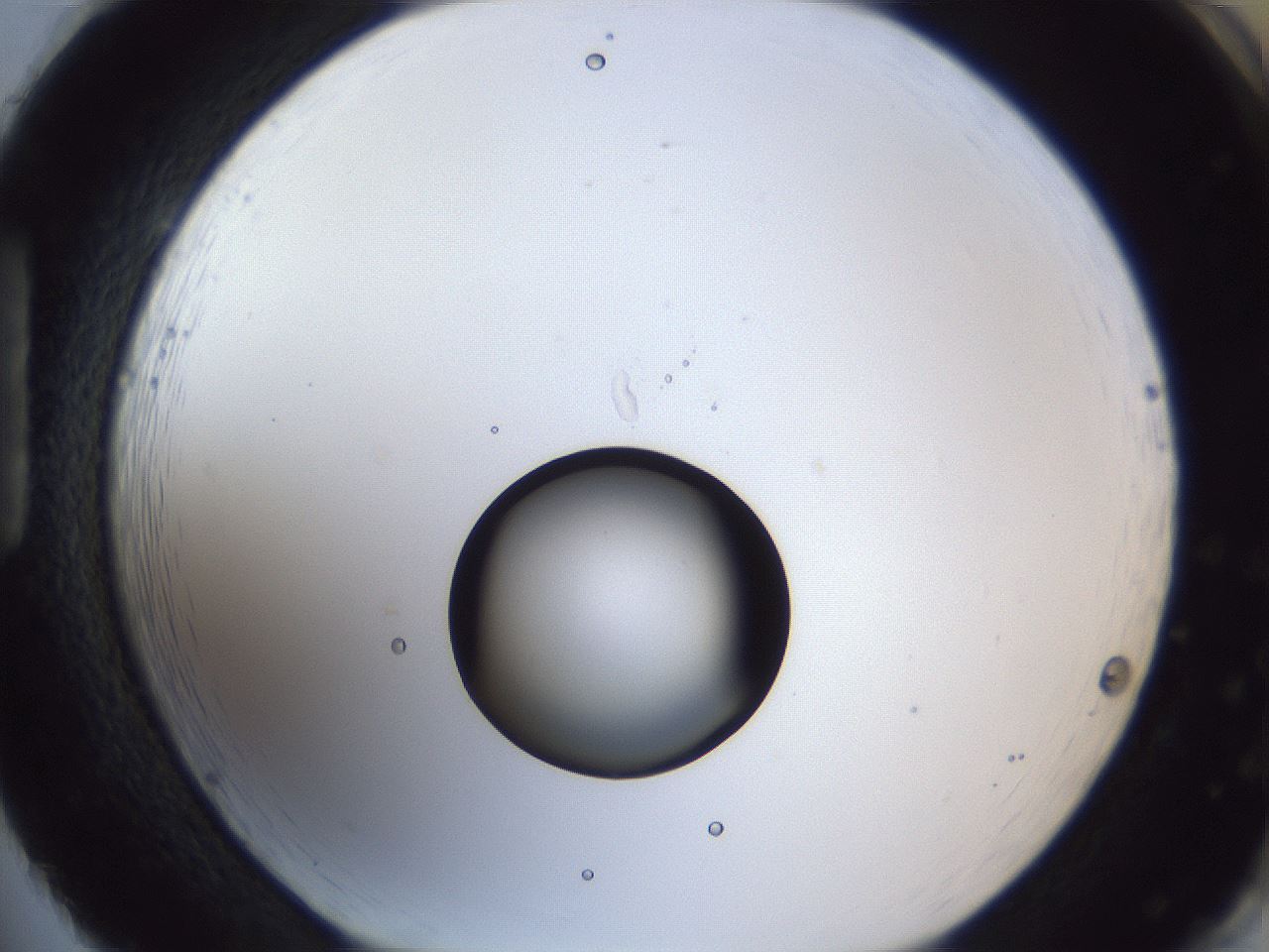 folderID43_plateID1043_batchID2100_wellNum86_profileID1_d1_r46322_ef.jpg
