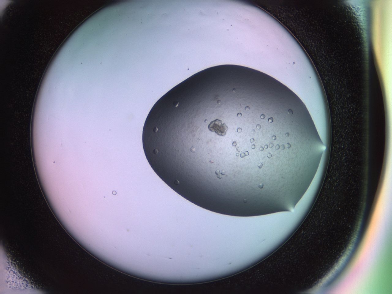 02ne_E3_ImagerDefaults_8.jpg