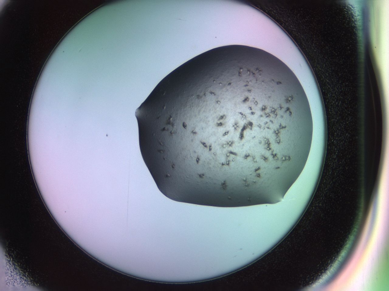02ne_E2_ImagerDefaults_7.jpg