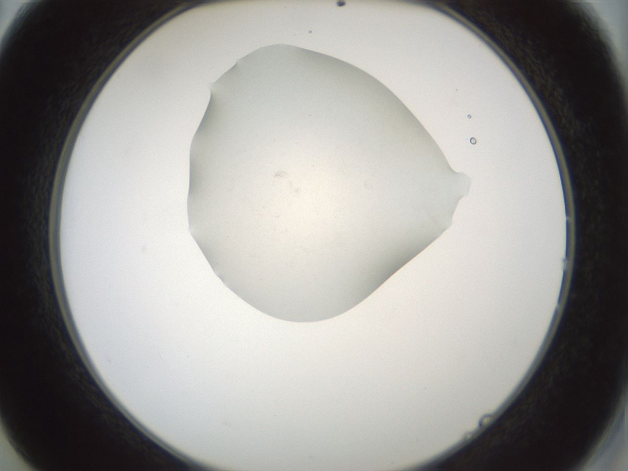 folderID428_plateID1428_batchID5438_wellNum14_profileID1_d2_r89908_ef.jpg