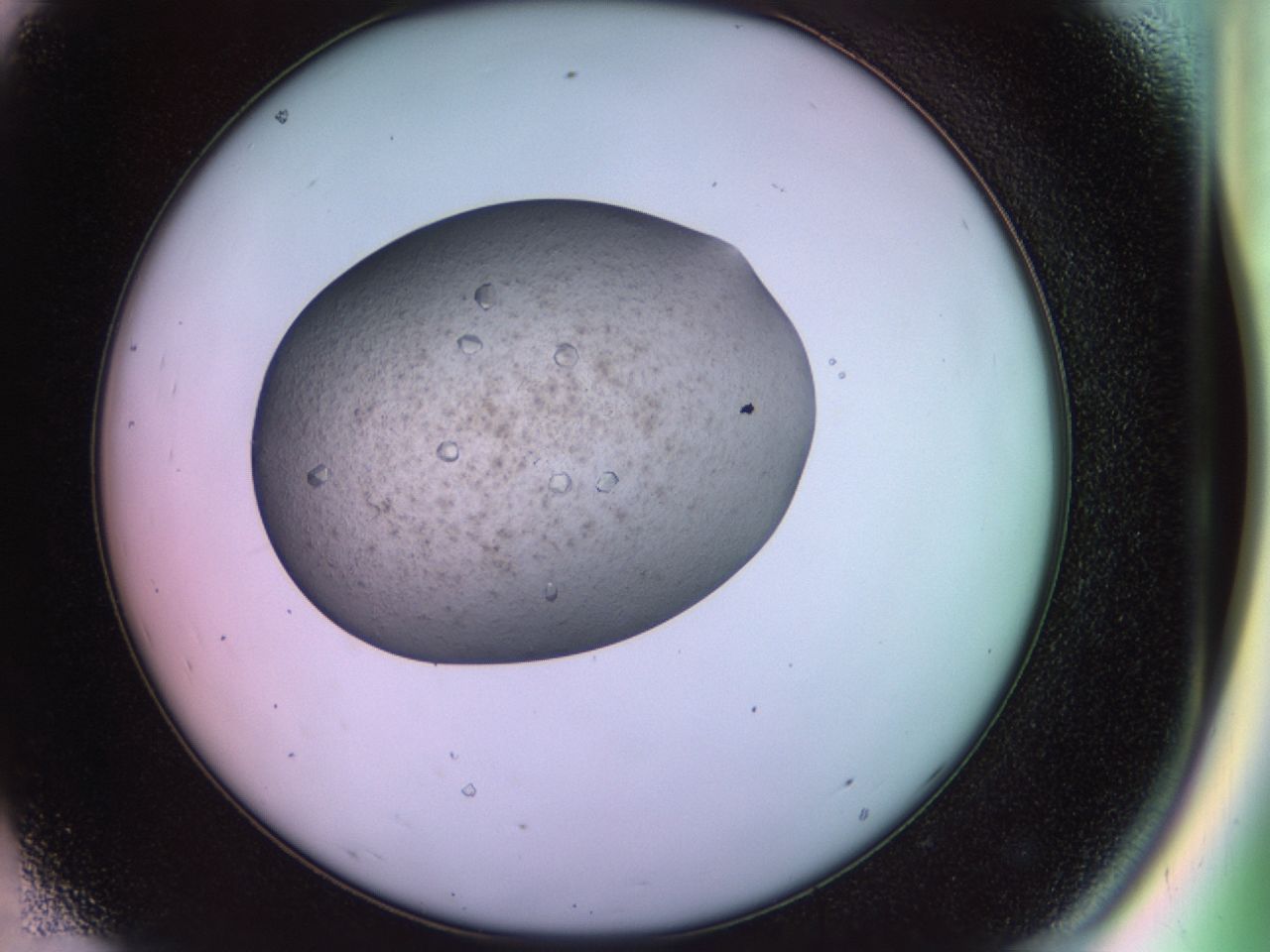 02ne_D8_ImagerDefaults_9.jpg