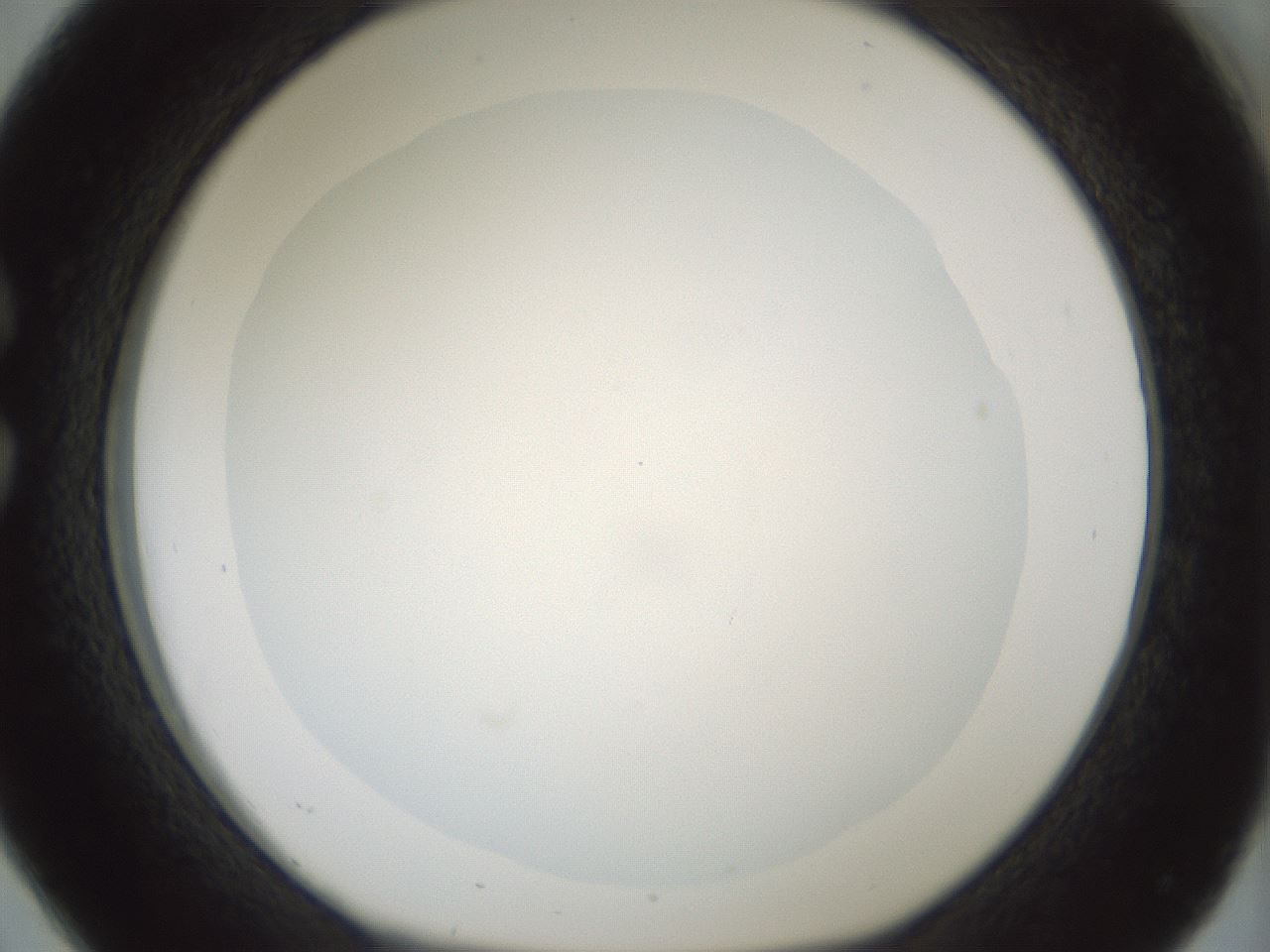 folderID428_plateID1428_batchID5438_wellNum26_profileID1_d1_r89931_ef.jpg