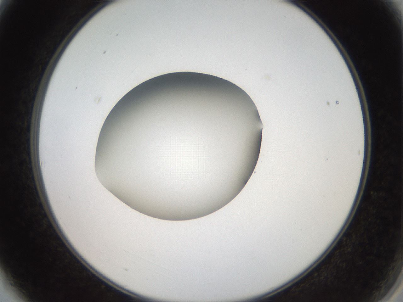 folderID43_plateID2043_batchID9005_wellNum3_profileID1_d2_r137084_ef.jpg