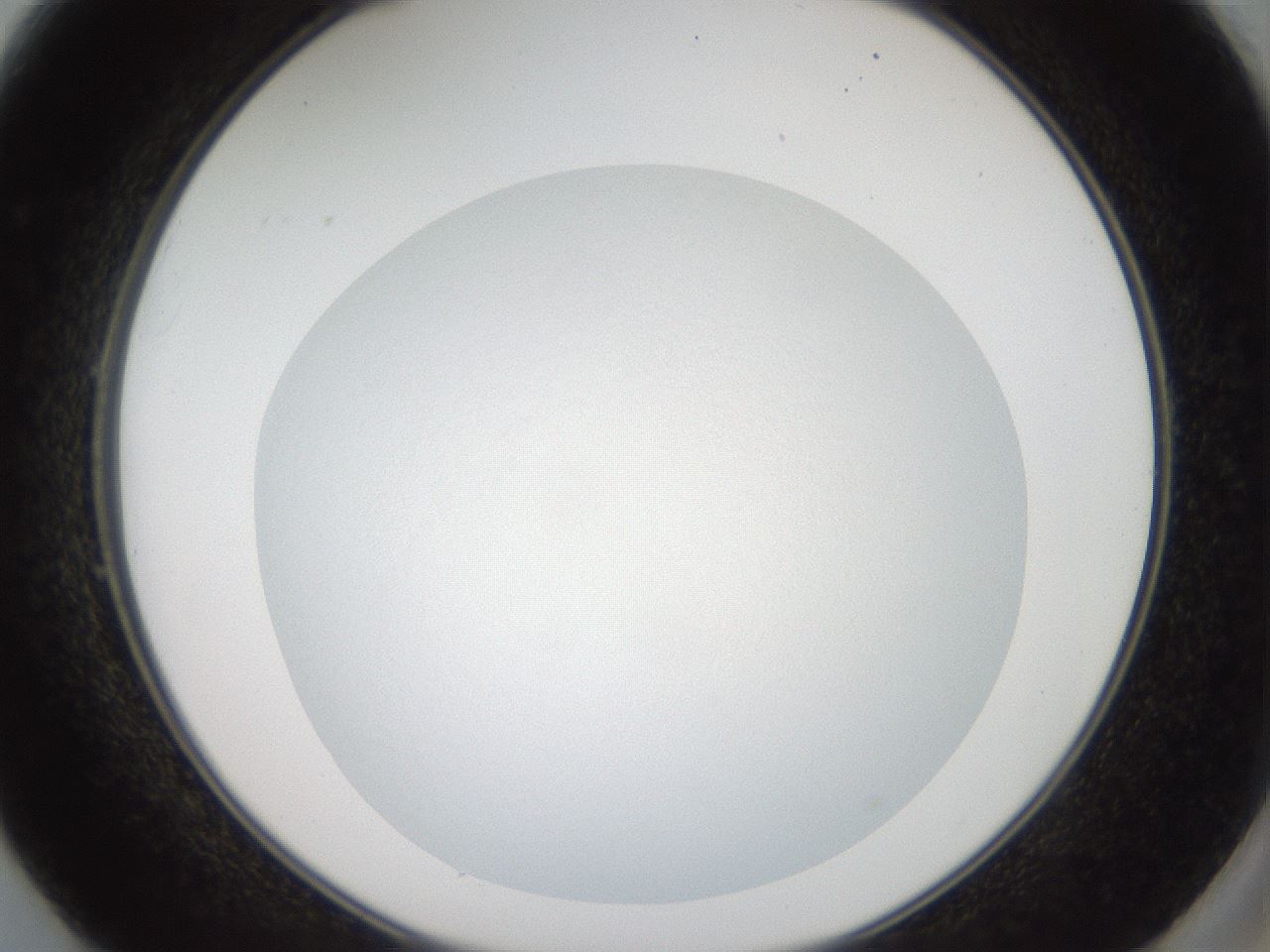 folderID43_plateID2043_batchID9005_wellNum49_profileID1_d2_r137176_ef.jpg