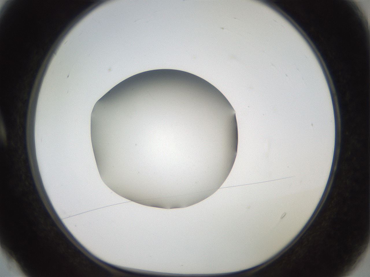 folderID43_plateID2043_batchID9005_wellNum4_profileID1_d1_r137085_ef.jpg