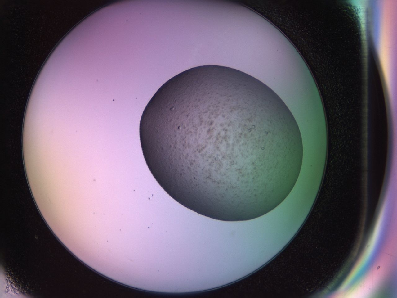 02ne_G6_ImagerDefaults_7.jpg