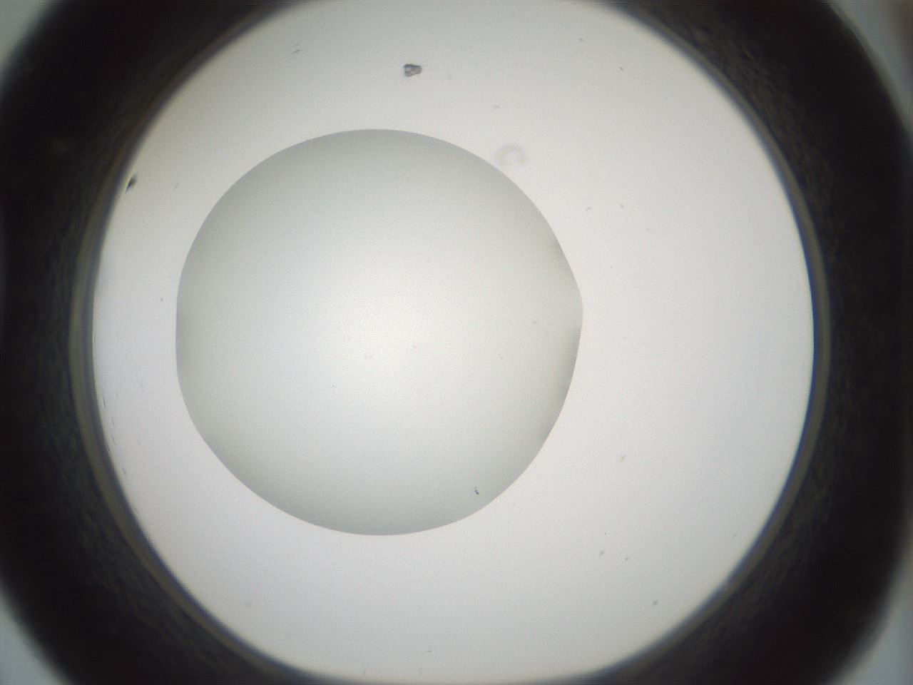 folderID428_plateID1428_batchID5438_wellNum44_profileID1_d1_r89967_ef.jpg