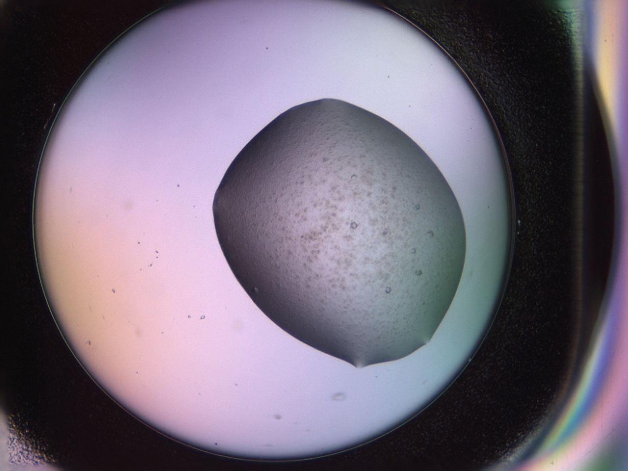02ne_G5_ImagerDefaults_7.jpg