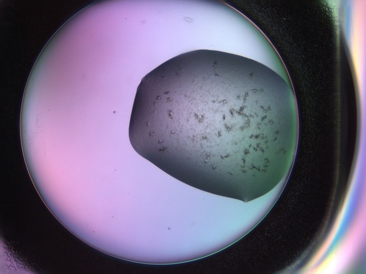 02ne_G2_ImagerDefaults_7.jpg