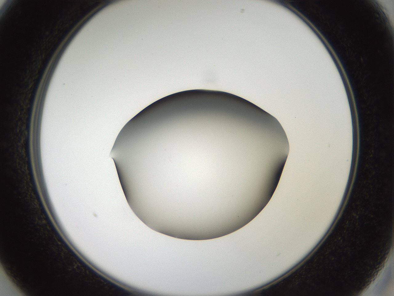 folderID43_plateID2043_batchID9005_wellNum13_profileID1_d2_r137104_ef.jpg