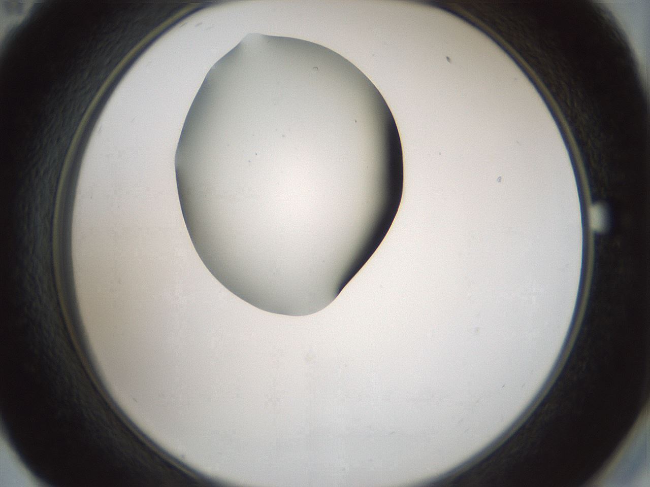 folderID428_plateID1428_batchID5438_wellNum59_profileID1_d2_r89998_ef.jpg
