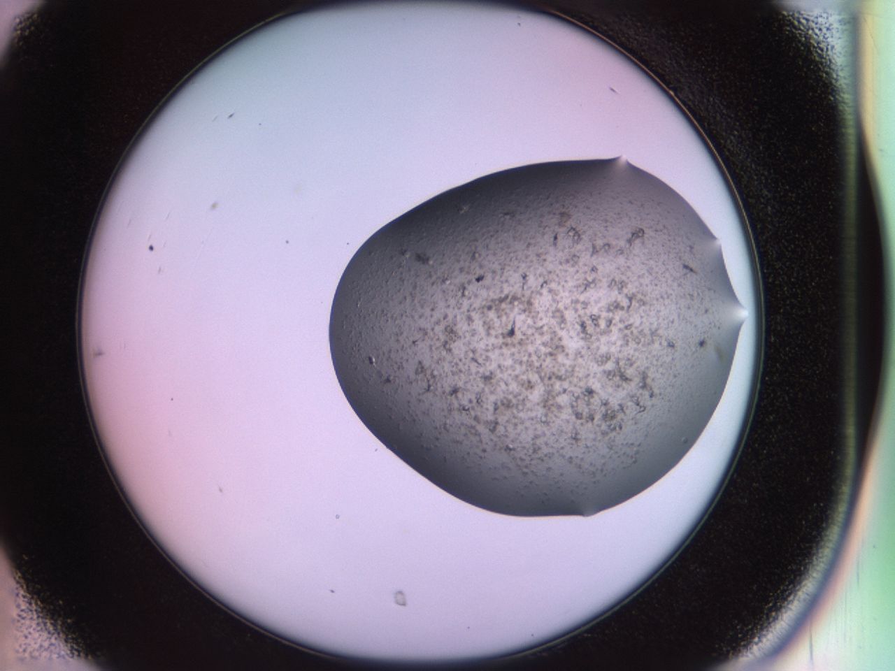 02ne_C7_ImagerDefaults_7.jpg