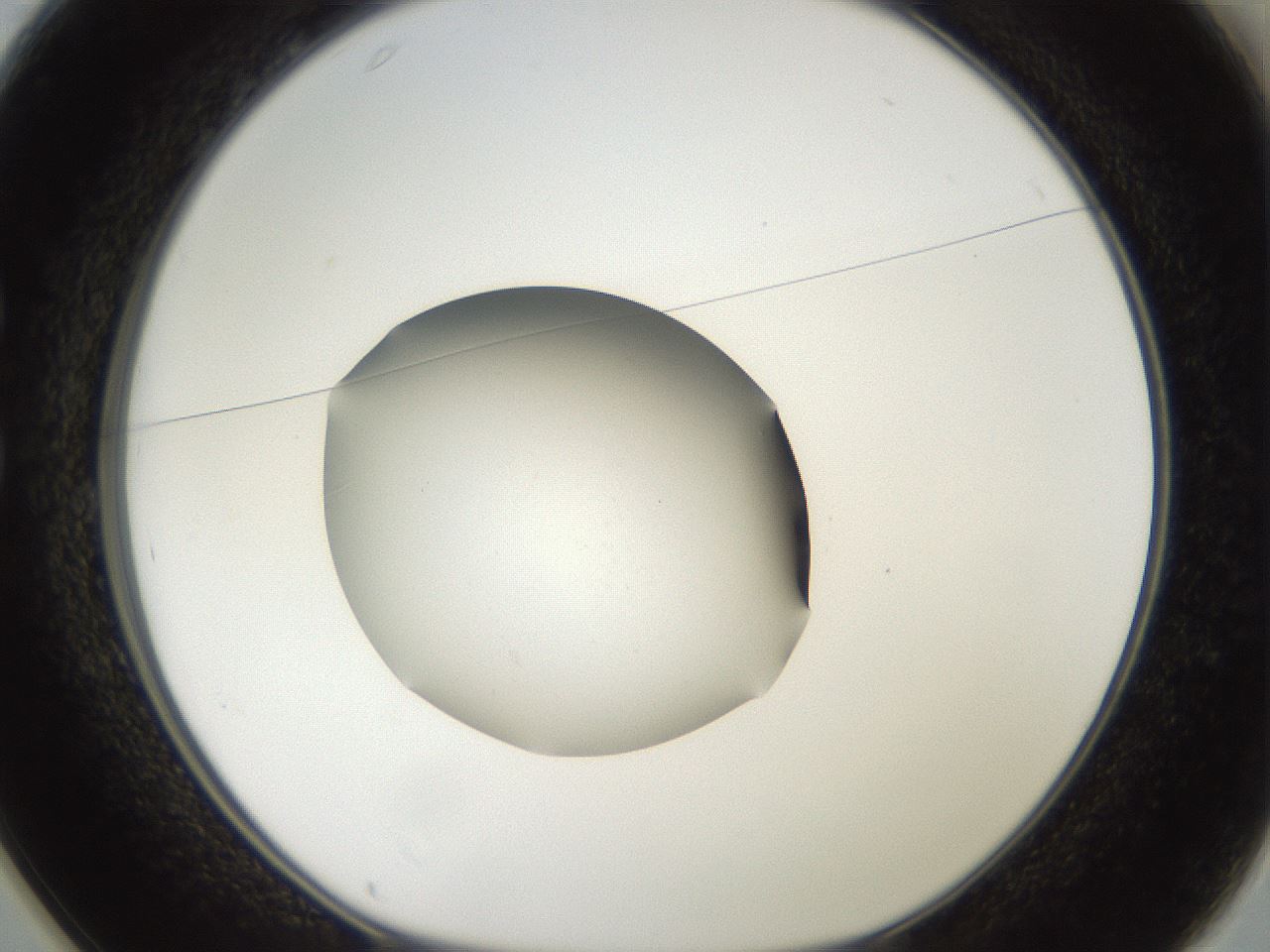 folderID43_plateID2043_batchID9005_wellNum25_profileID1_d1_r137127_ef.jpg