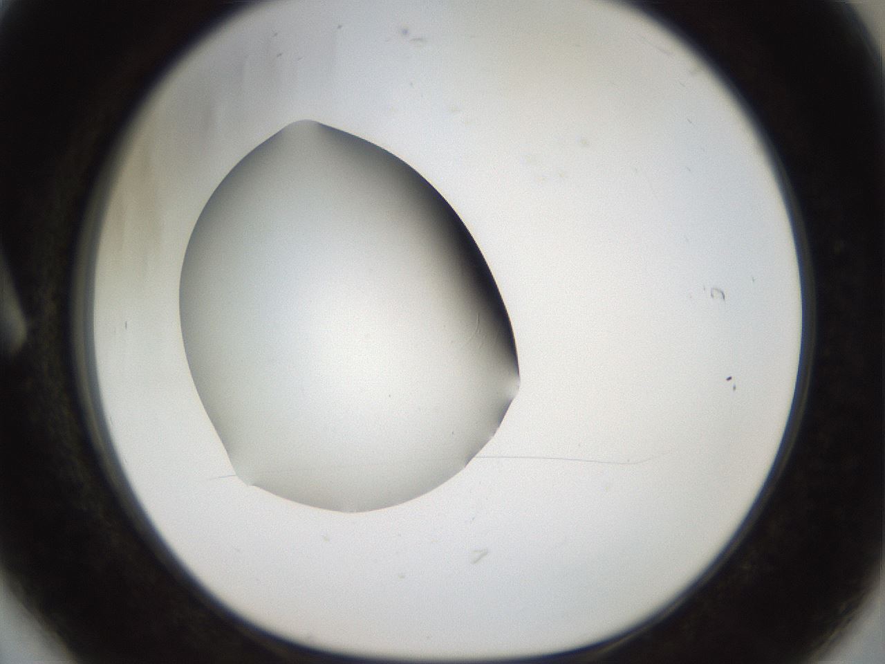 folderID43_plateID2043_batchID9005_wellNum6_profileID1_d1_r137089_ef.jpg
