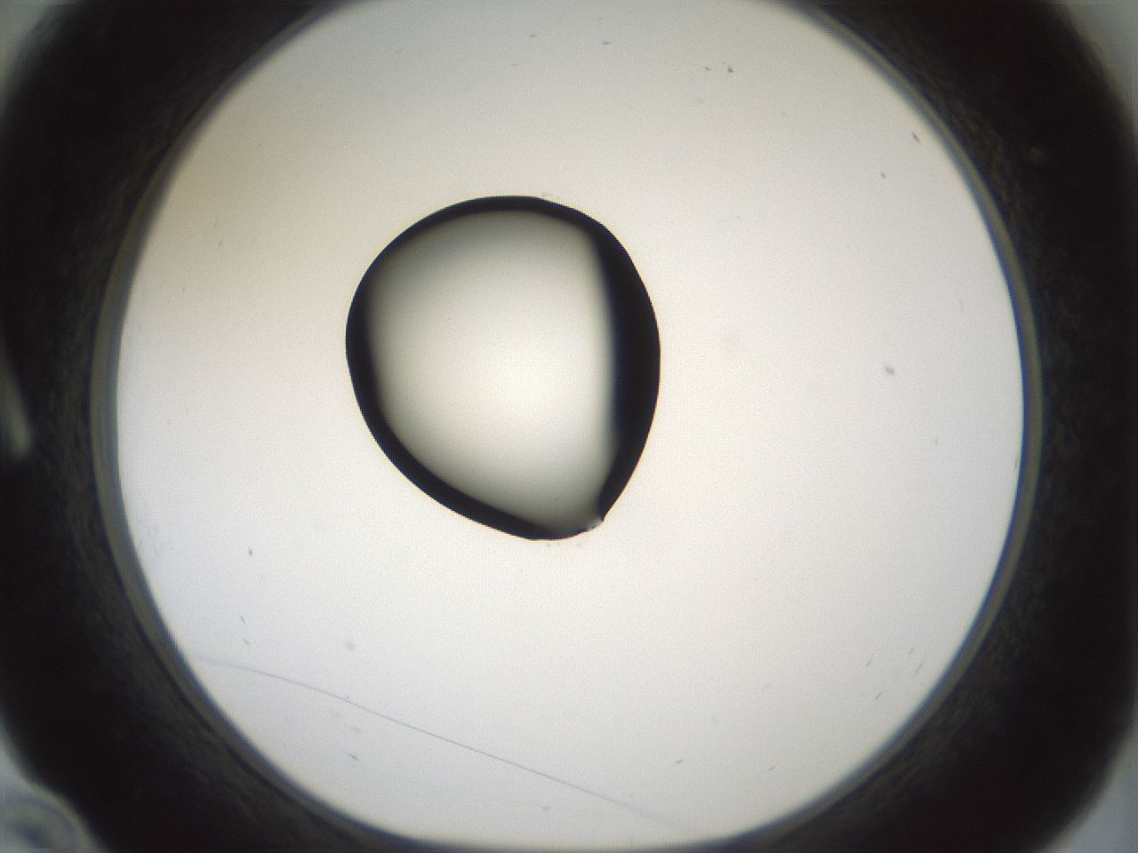 folderID429_plateID1429_batchID5435_wellNum10_profileID1_d1_r89131_ef.jpg