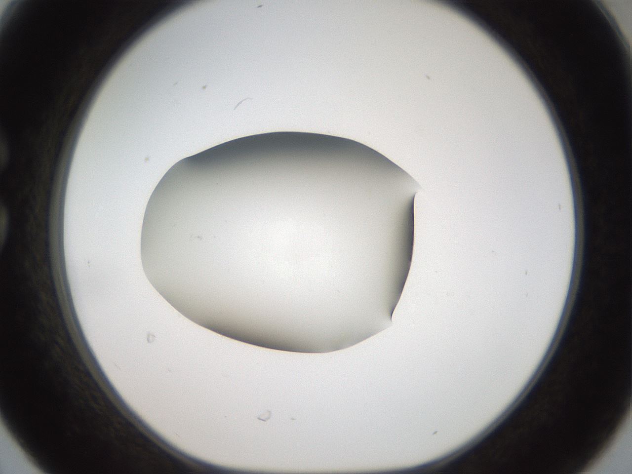 folderID43_plateID2043_batchID9005_wellNum30_profileID1_d1_r137137_ef.jpg