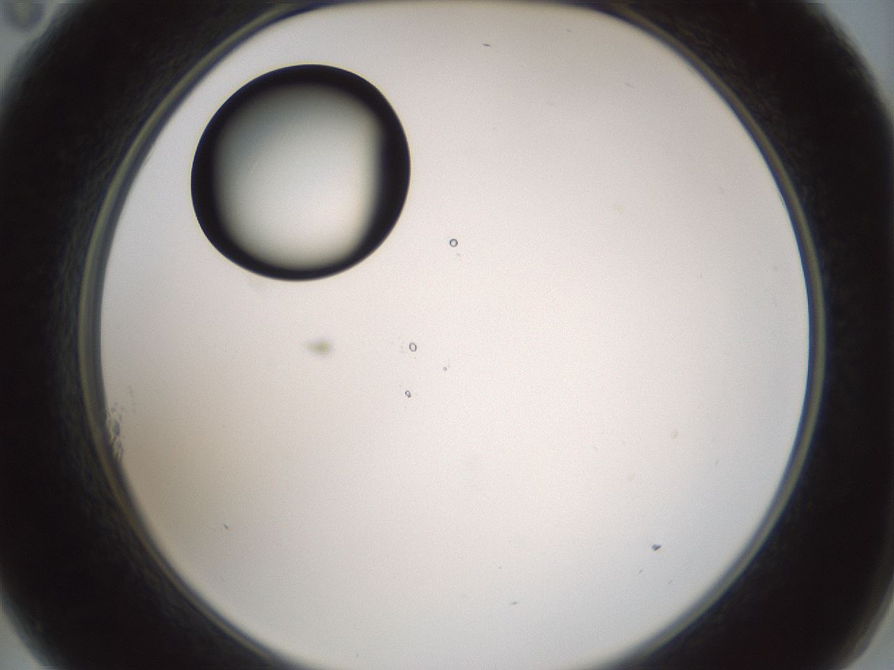 folderID429_plateID1429_batchID5435_wellNum11_profileID1_d2_r89134_ef.jpg