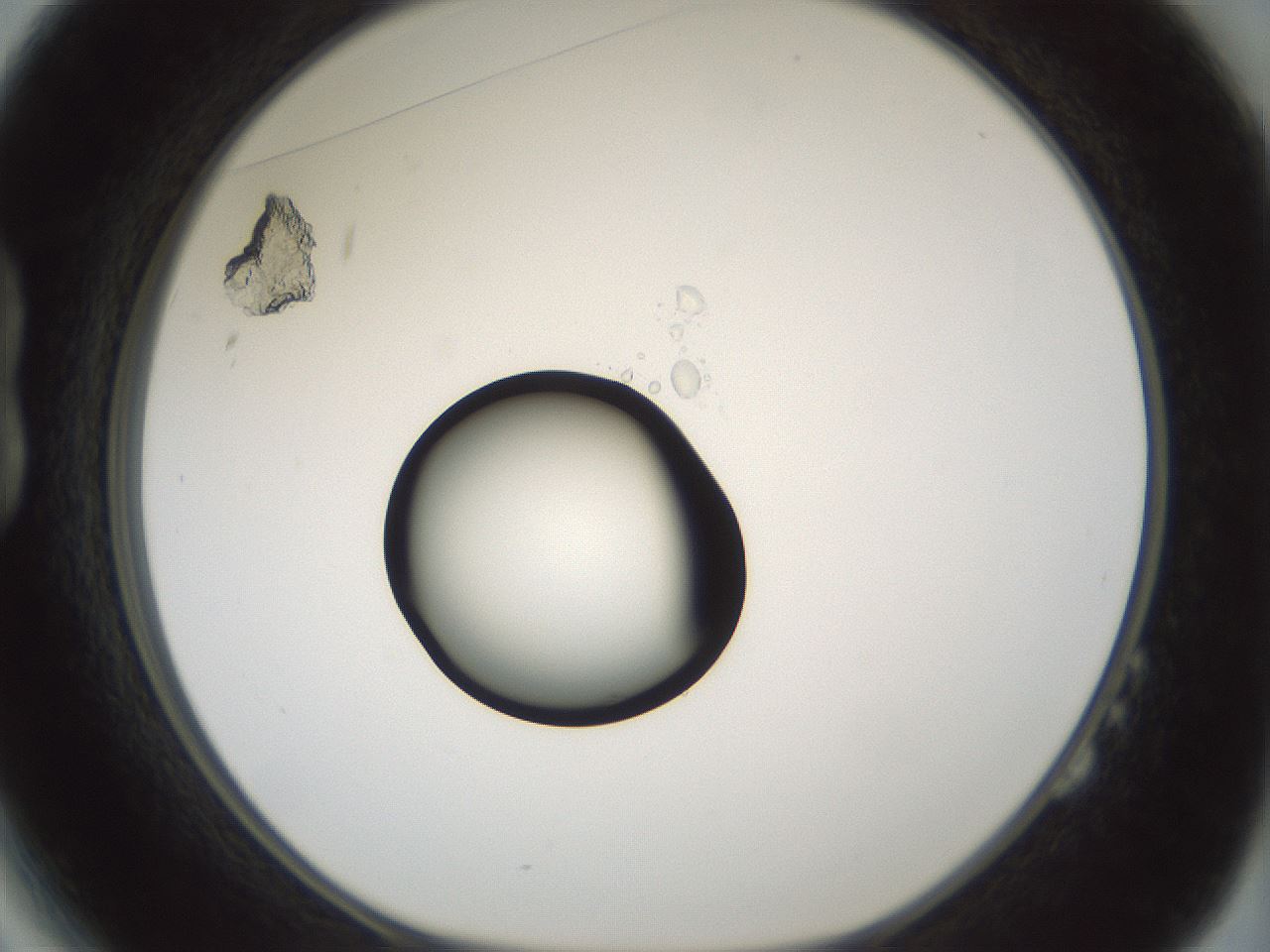 folderID429_plateID1429_batchID5435_wellNum14_profileID1_d1_r89139_ef.jpg