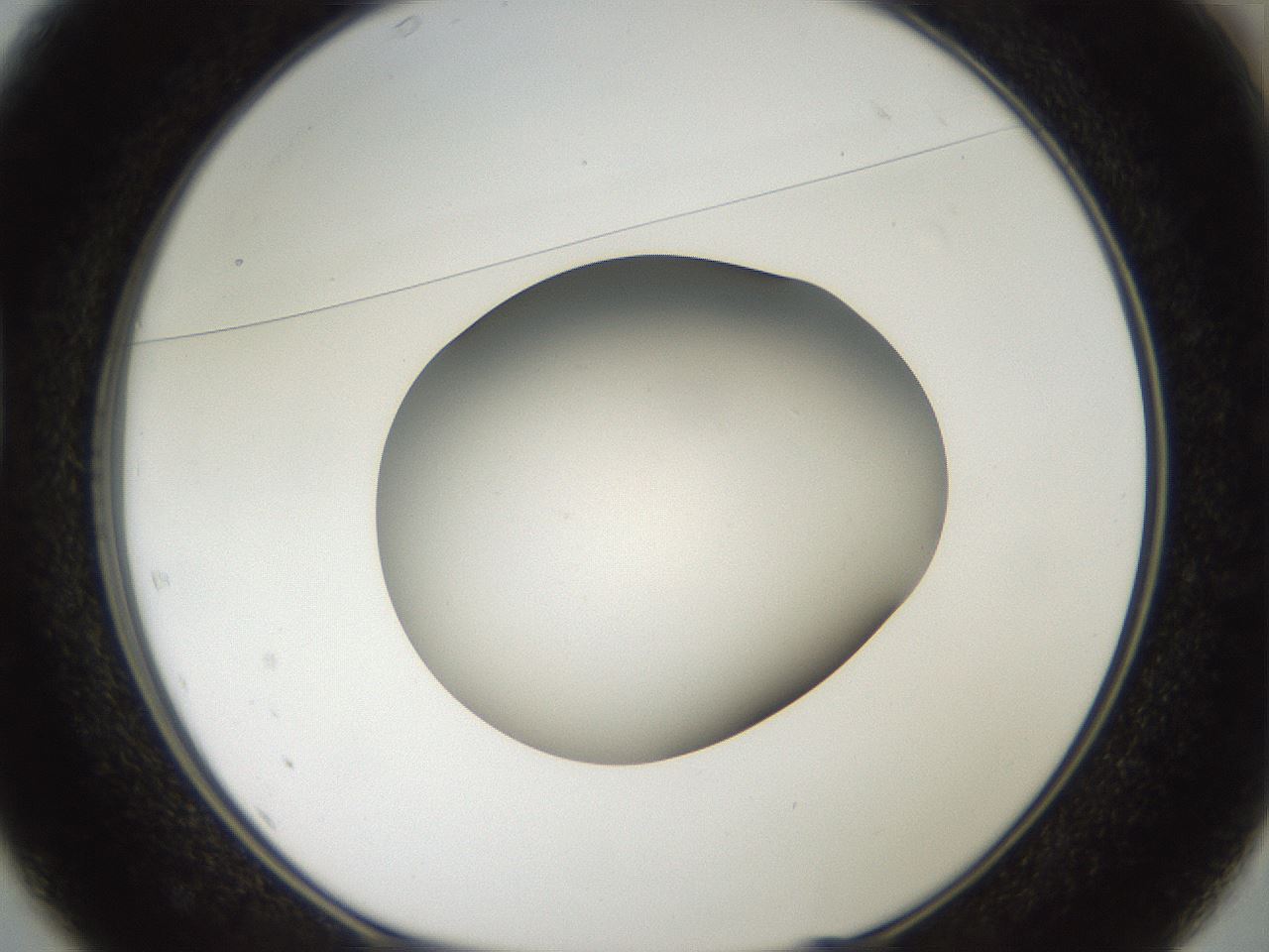 folderID43_plateID2043_batchID9005_wellNum37_profileID1_d1_r137151_ef.jpg