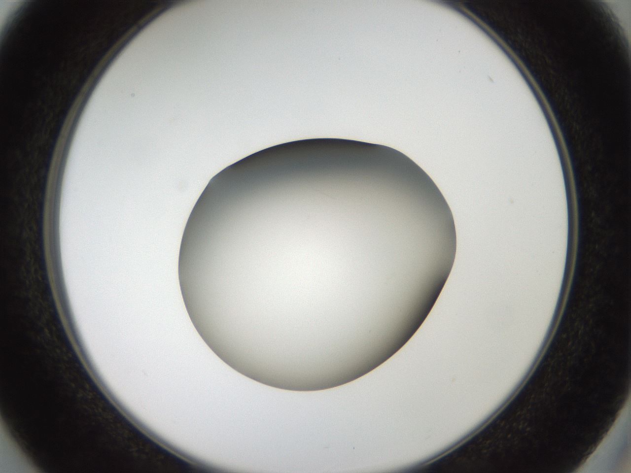 folderID43_plateID2043_batchID9005_wellNum37_profileID1_d2_r137152_ef.jpg