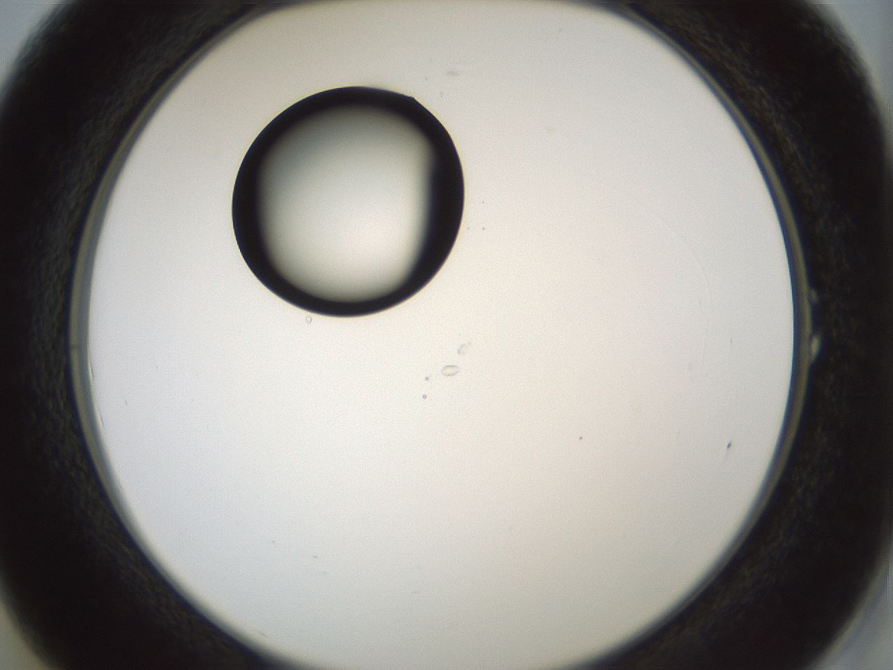 folderID429_plateID1429_batchID5435_wellNum1_profileID1_d2_r89114_ef.jpg