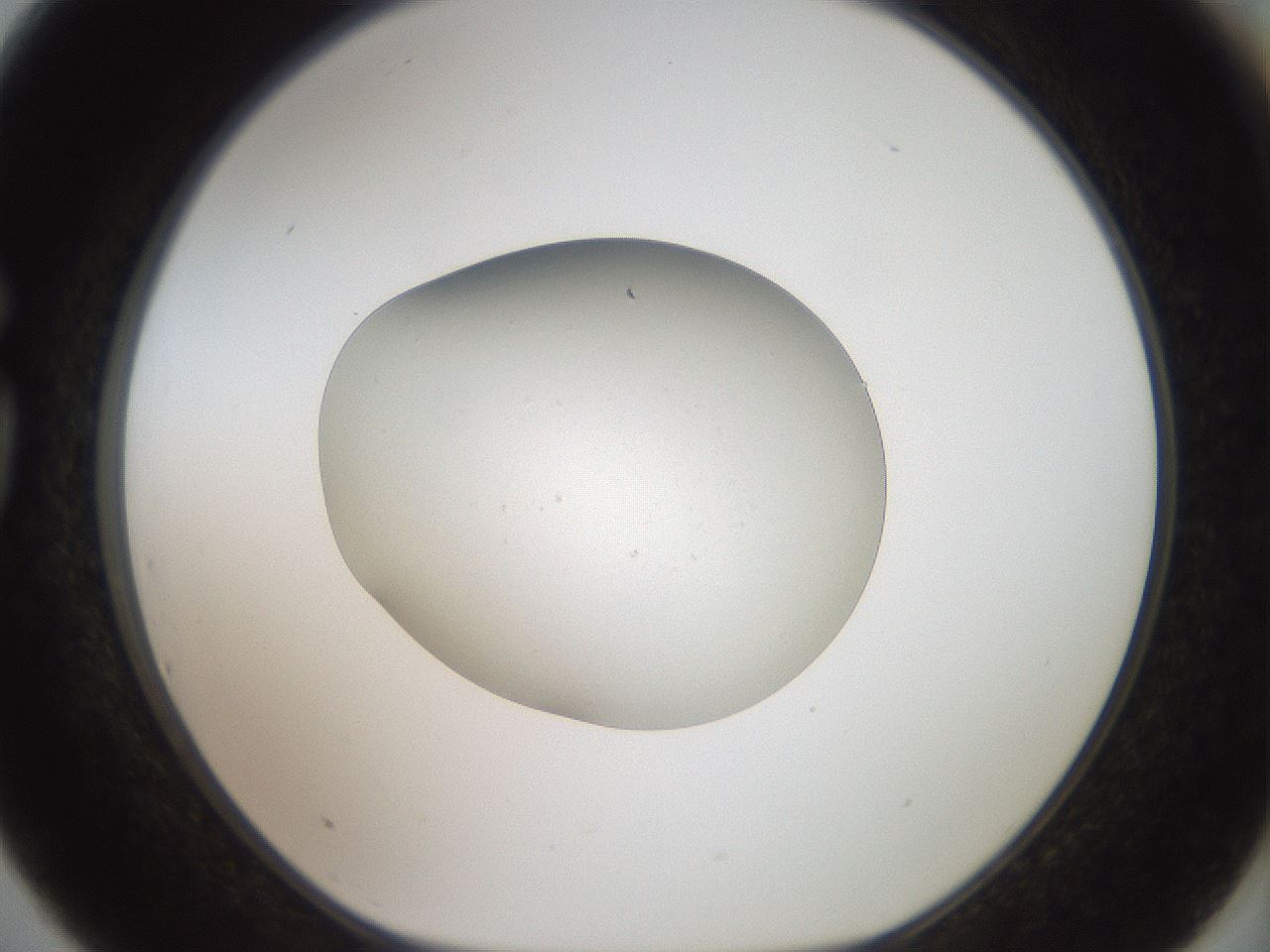 folderID43_plateID2043_batchID9005_wellNum75_profileID1_d1_r137227_ef.jpg