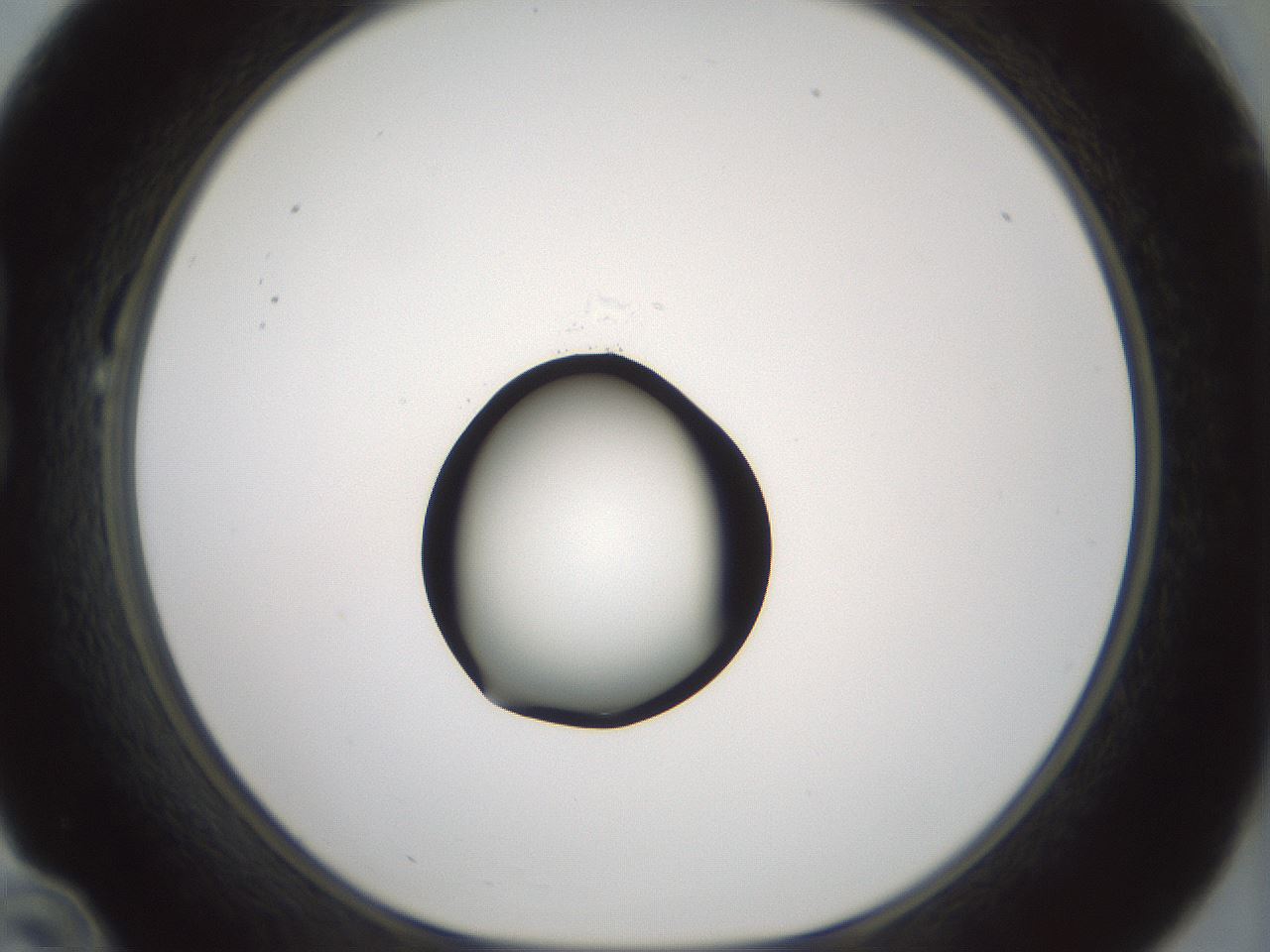 folderID429_plateID1429_batchID5435_wellNum22_profileID1_d1_r89155_ef.jpg