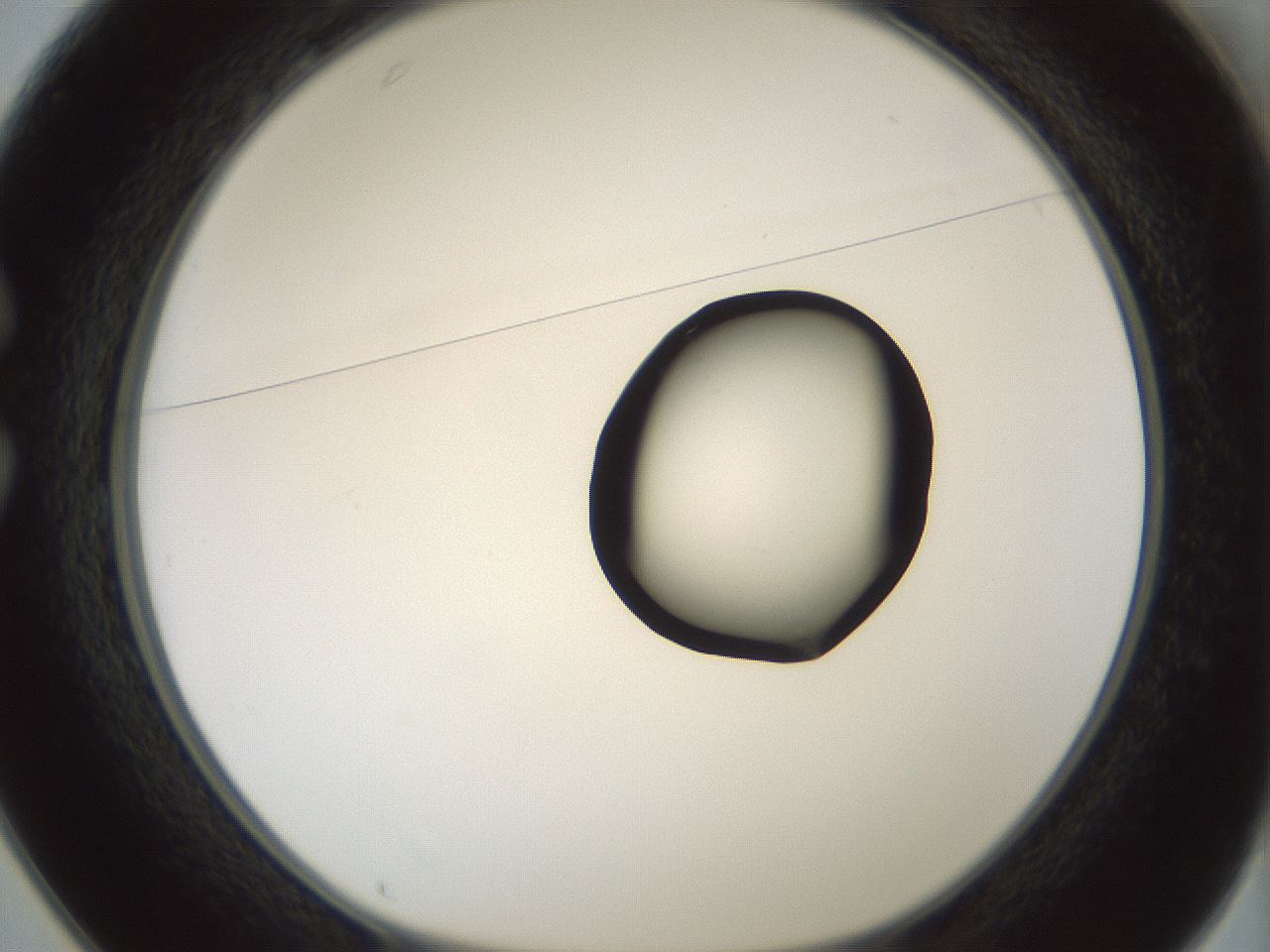 folderID429_plateID1429_batchID5435_wellNum25_profileID1_d1_r89161_ef.jpg