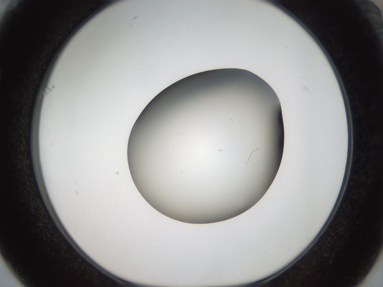folderID43_plateID2043_batchID9005_wellNum61_profileID1_d1_r137199_ef.jpg
