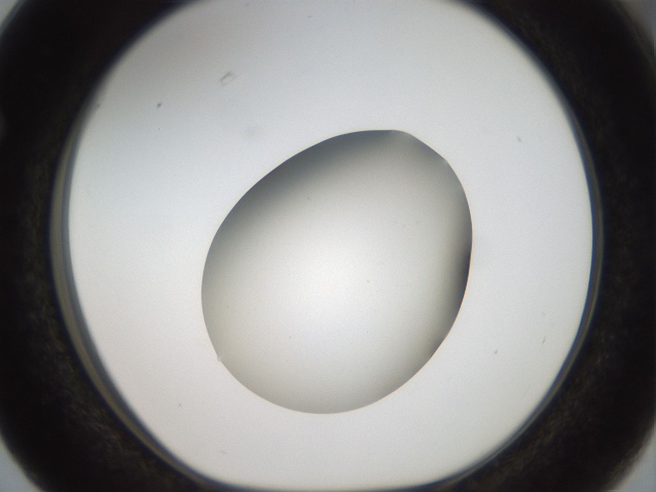 folderID43_plateID2043_batchID9005_wellNum63_profileID1_d1_r137203_ef.jpg