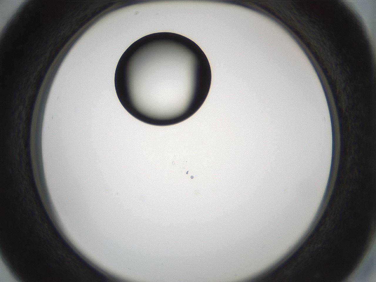 folderID429_plateID1429_batchID5435_wellNum29_profileID1_d2_r89170_ef.jpg