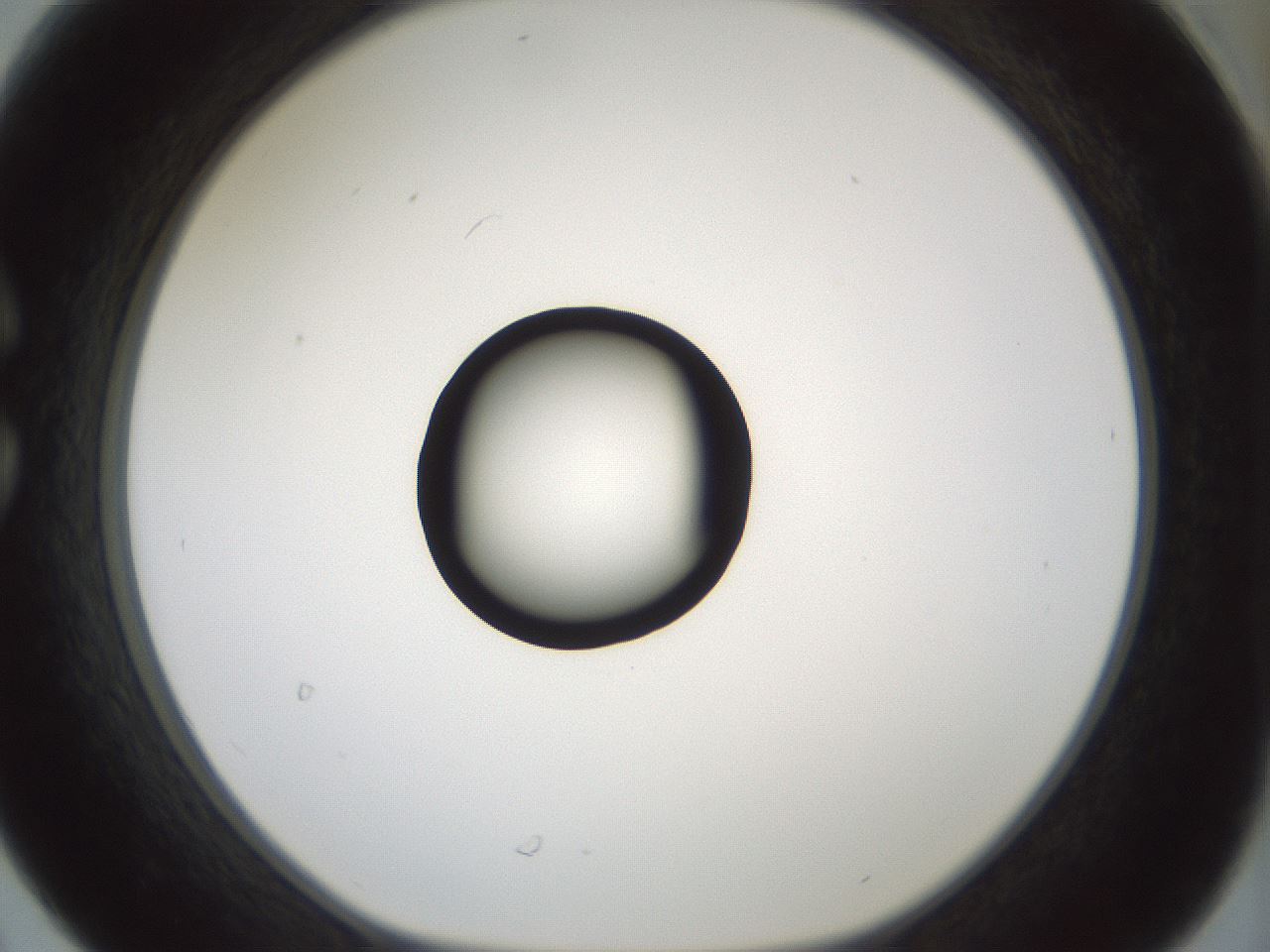 folderID429_plateID1429_batchID5435_wellNum30_profileID1_d1_r89171_ef.jpg