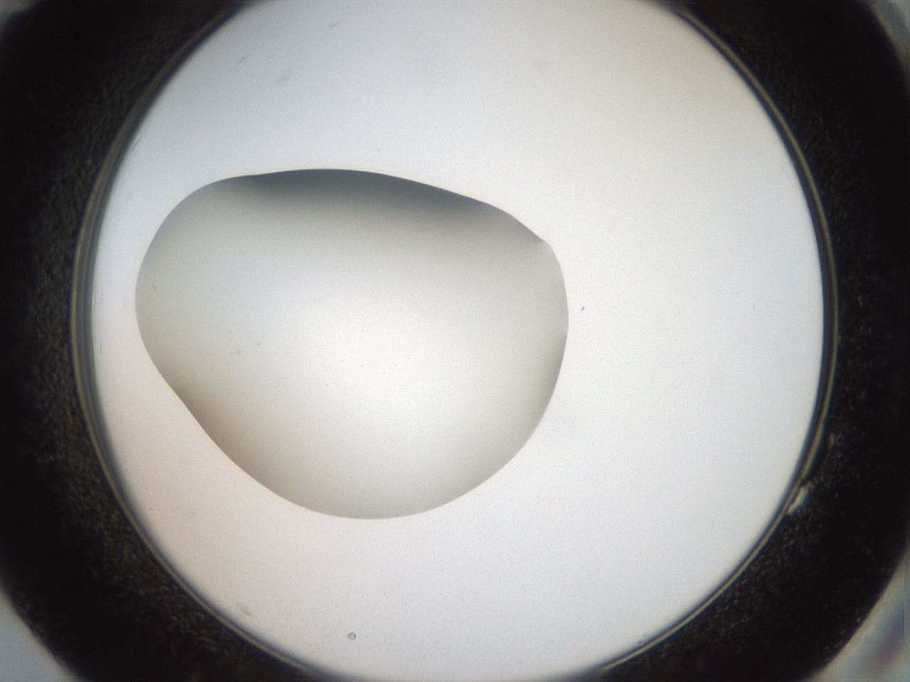 folderID43_plateID2043_batchID9005_wellNum83_profileID1_d2_r137244_ef.jpg