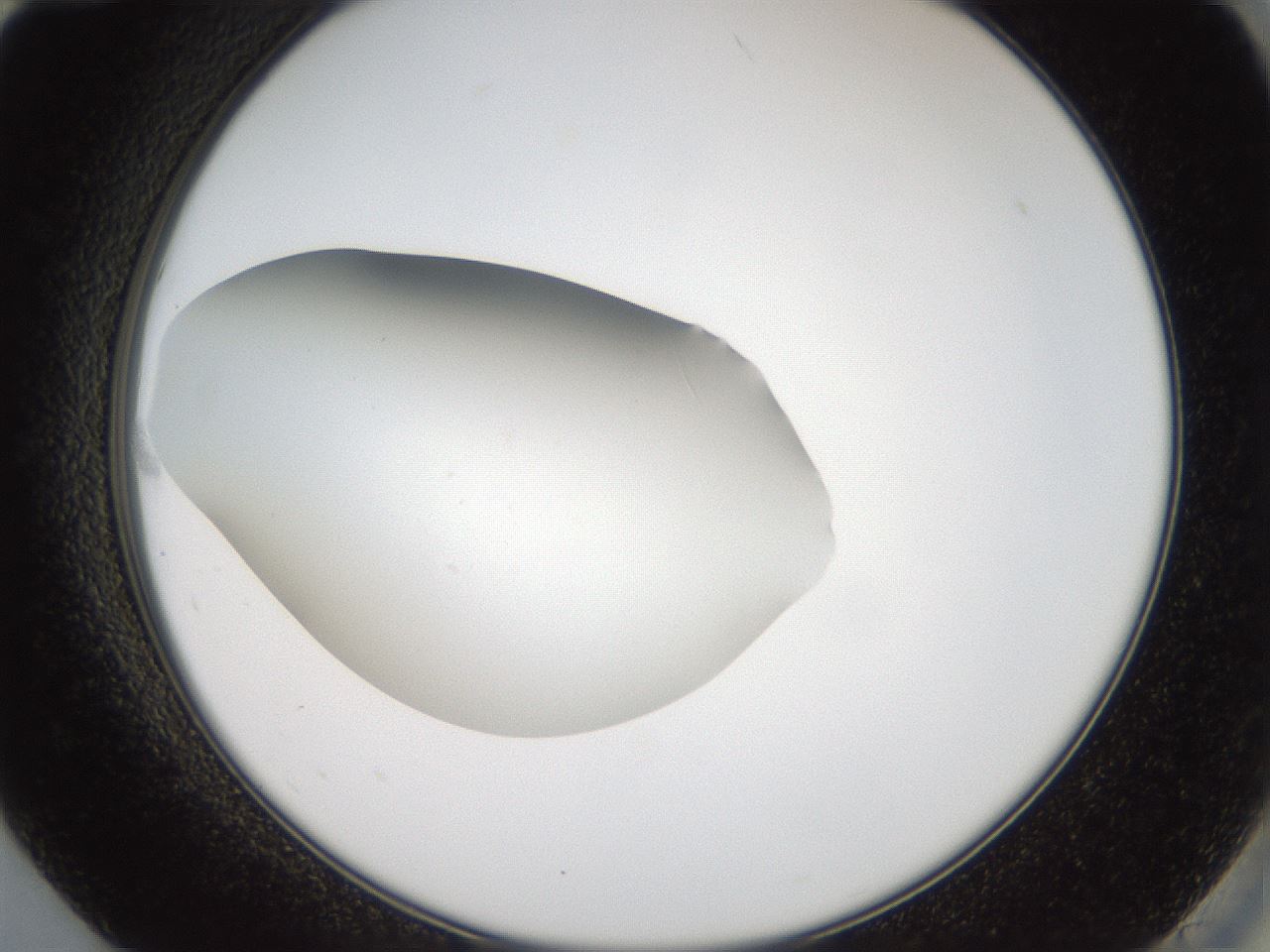 folderID43_plateID2043_batchID9005_wellNum84_profileID1_d2_r137246_ef.jpg