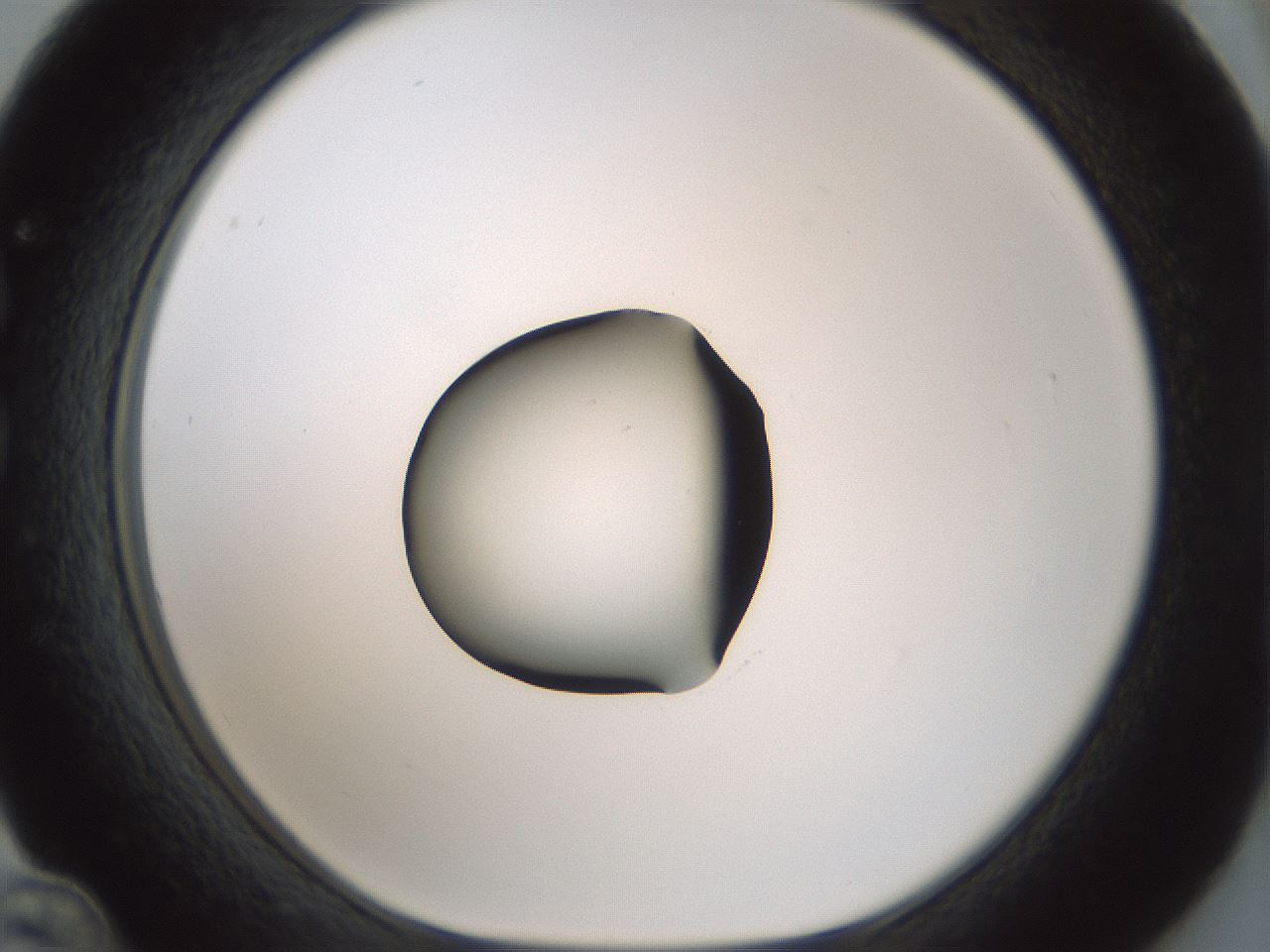 folderID429_plateID1429_batchID5435_wellNum36_profileID1_d1_r89183_ef.jpg