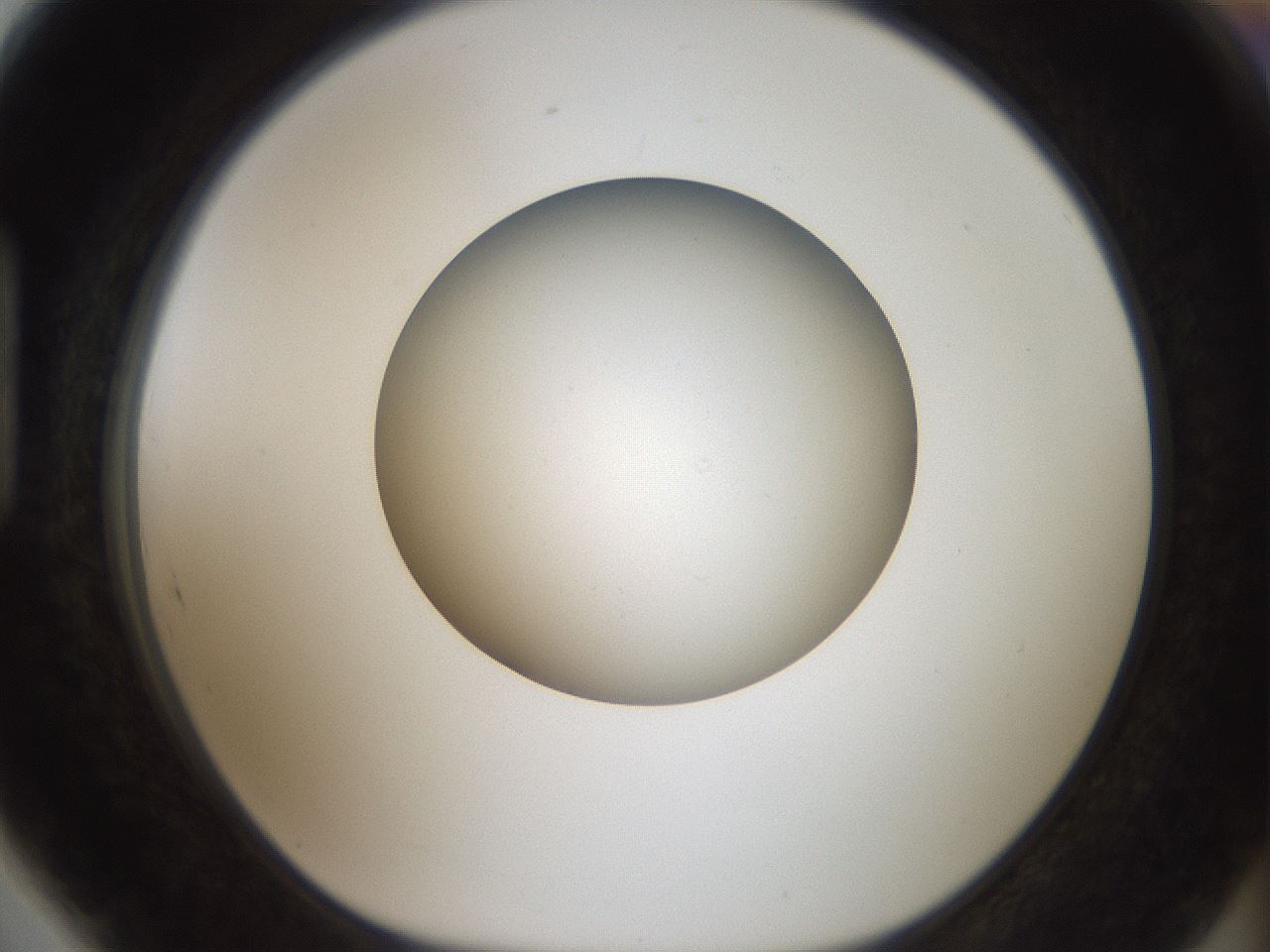 folderID43_plateID2043_batchID9005_wellNum89_profileID1_d1_r137255_ef.jpg