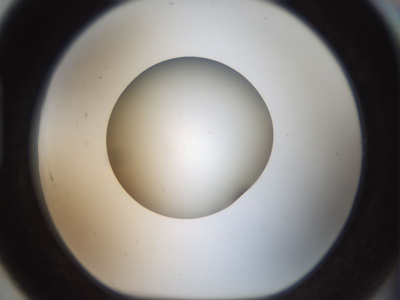 folderID43_plateID2043_batchID9005_wellNum91_profileID1_d1_r137259_ef.jpg