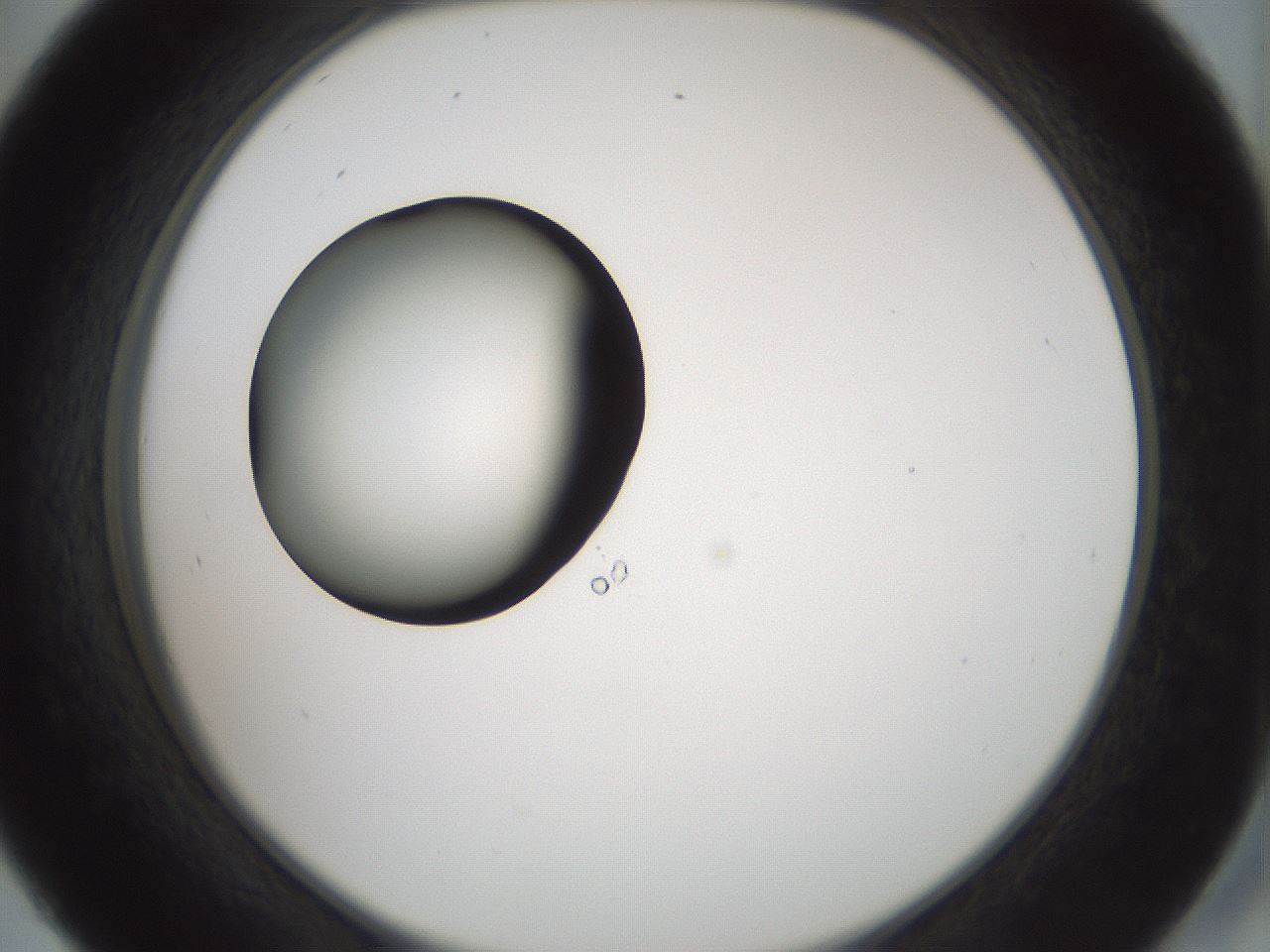 folderID429_plateID1429_batchID5435_wellNum45_profileID1_d2_r89202_ef.jpg