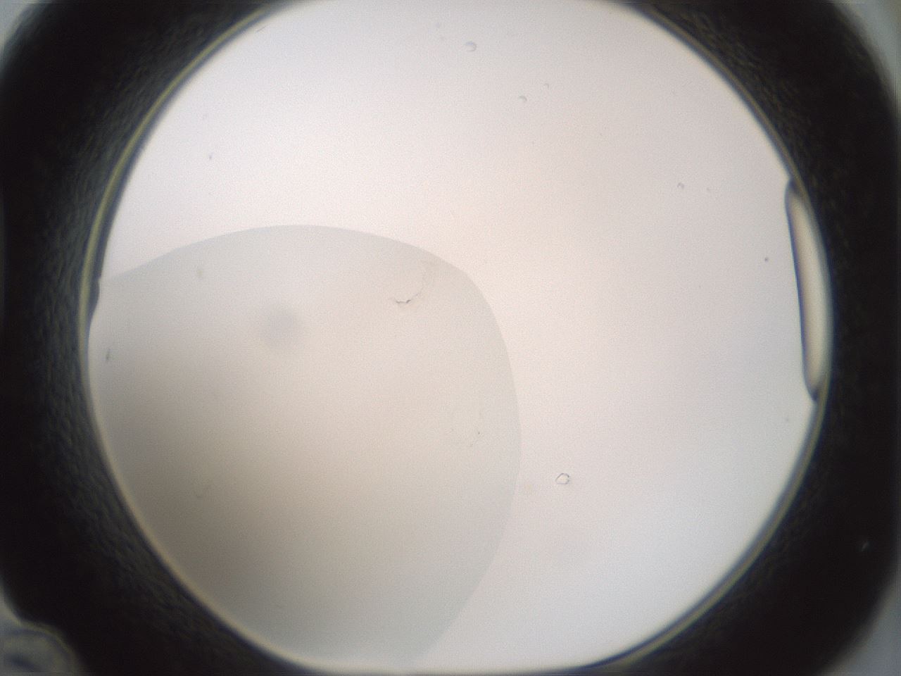 folderID429_plateID1429_batchID5435_wellNum48_profileID1_d1_r89207_ef.jpg