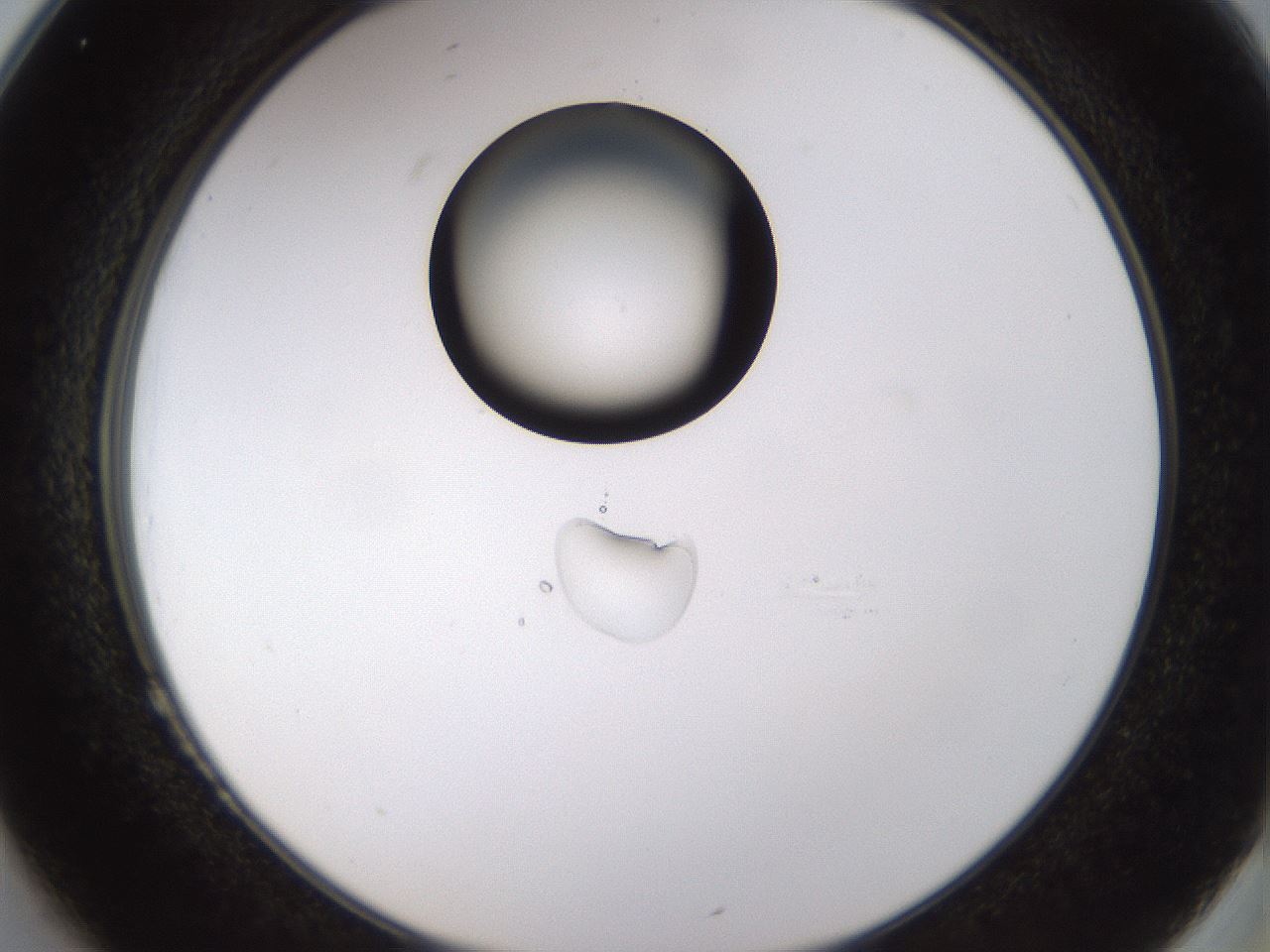 folderID440_plateID1440_batchID5495_wellNum25_profileID1_d2_r90413_ef.jpg