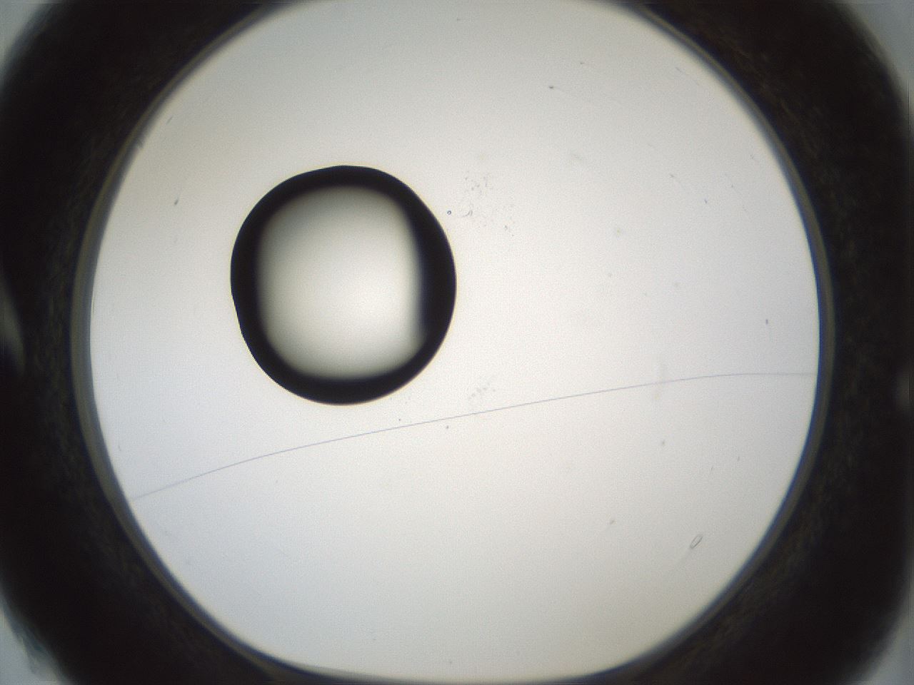 folderID429_plateID1429_batchID5435_wellNum4_profileID1_d1_r89119_ef.jpg