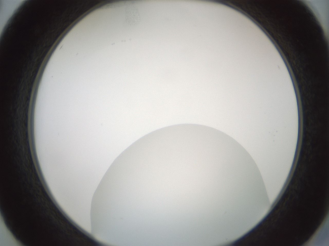 folderID429_plateID1429_batchID5435_wellNum50_profileID1_d2_r89212_ef.jpg