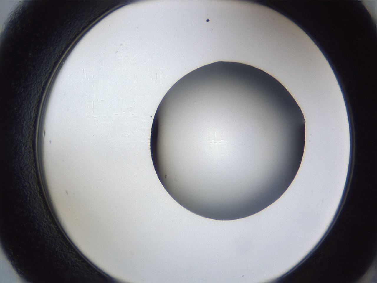 folderID44_plateID1044_batchID2102_wellNum61_profileID1_d2_r46657_ef.jpg