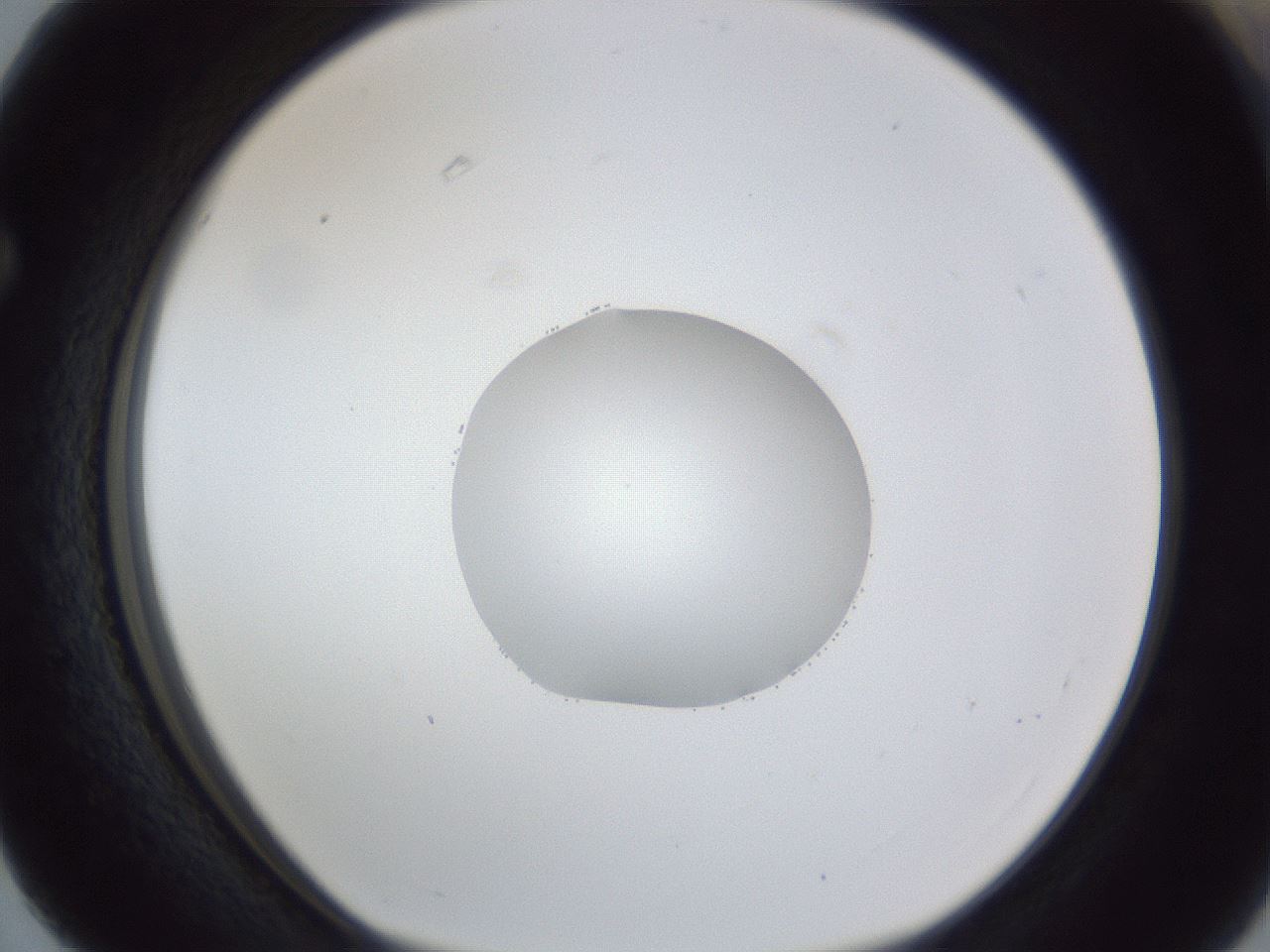 folderID44_plateID1044_batchID2102_wellNum63_profileID1_d1_r46660_ef.jpg