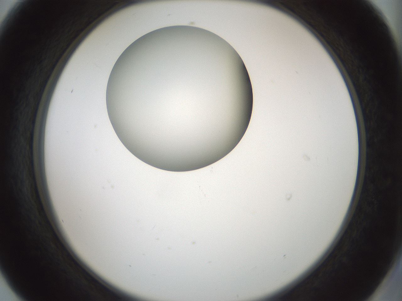 folderID429_plateID1429_batchID5435_wellNum56_profileID1_d2_r89224_ef.jpg