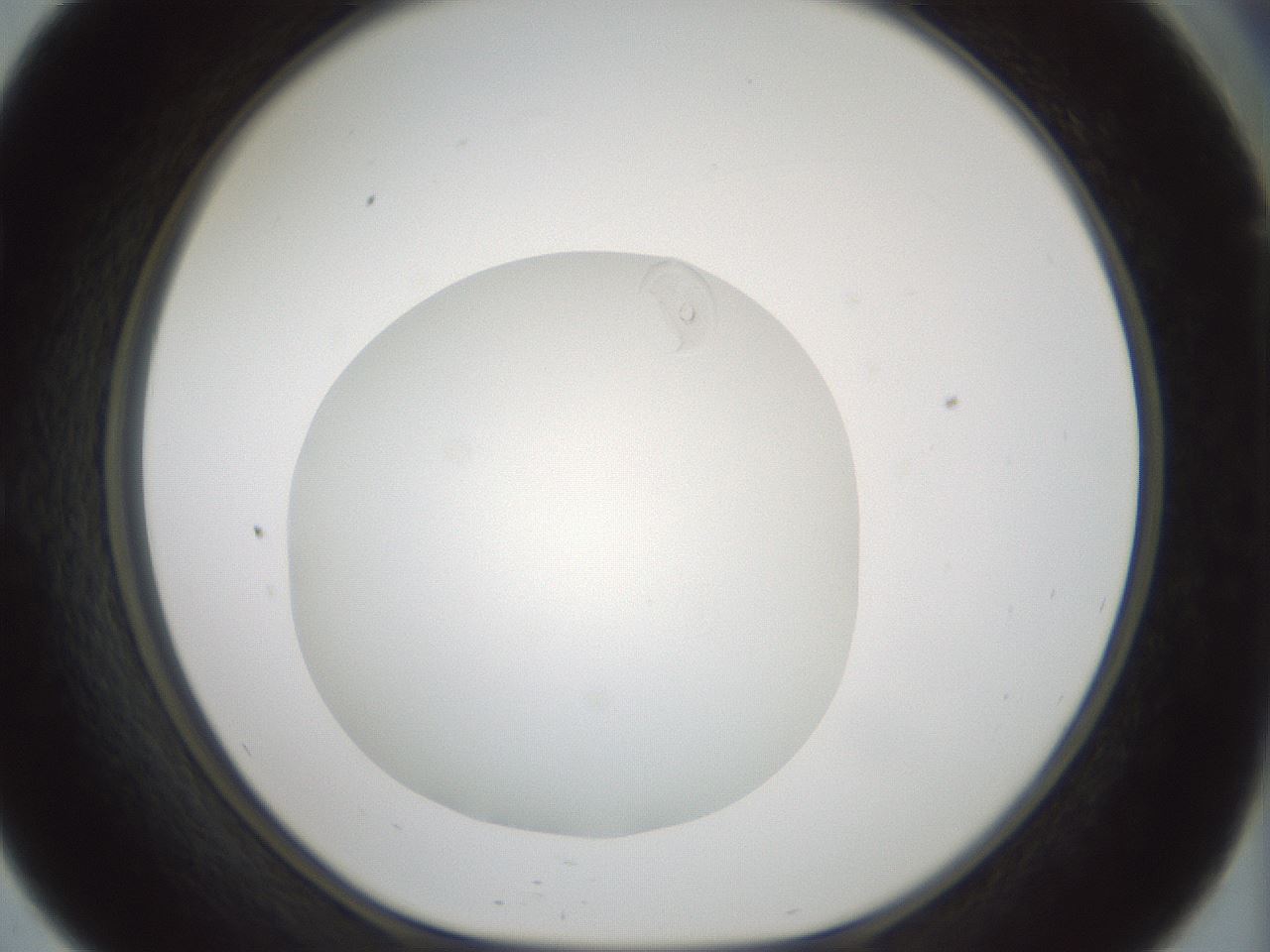 folderID429_plateID1429_batchID5435_wellNum57_profileID1_d1_r89225_ef.jpg
