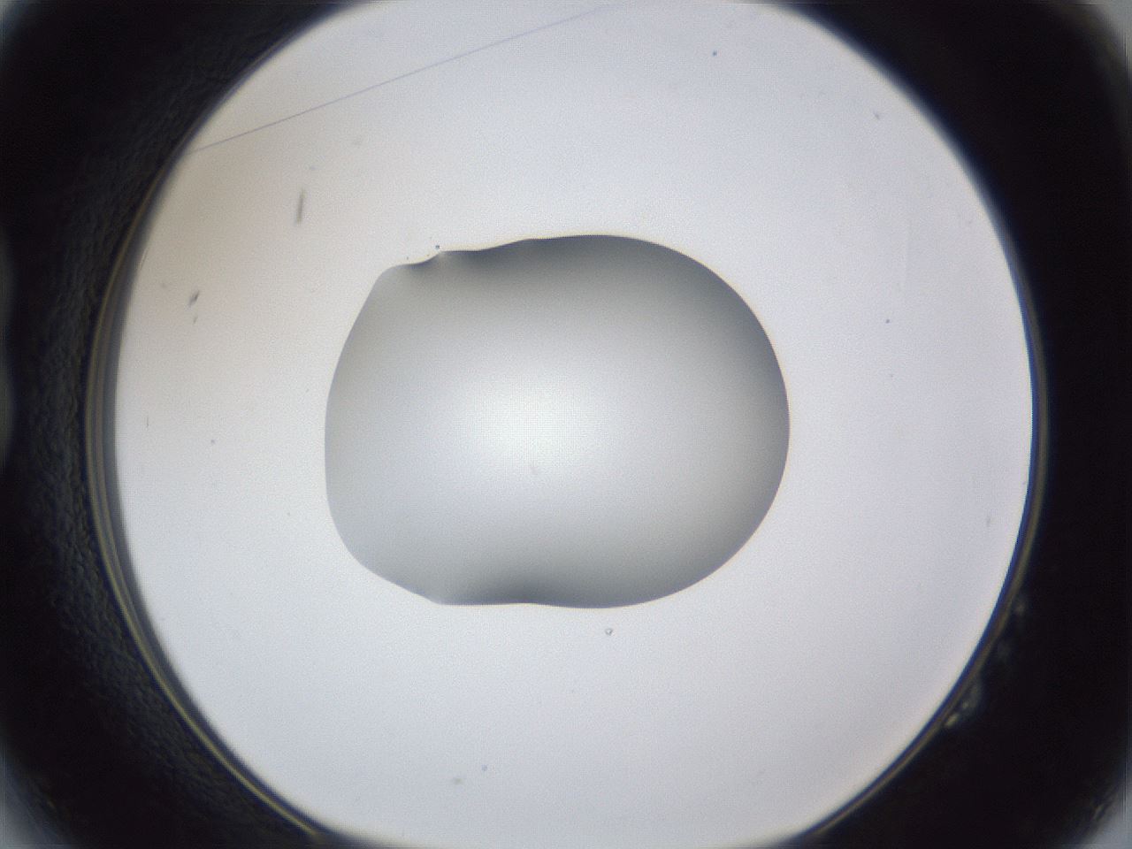 folderID44_plateID1044_batchID2102_wellNum14_profileID1_d1_r46562_ef.jpg